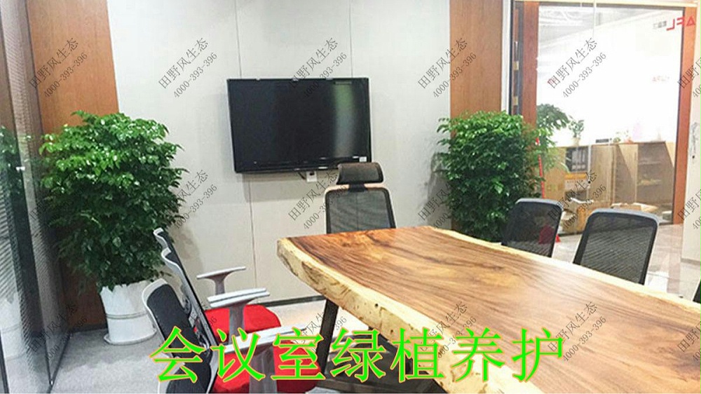 廣東平安保險(xiǎn)綠植租擺案例 廣東平安保險(xiǎn)綠植租擺案例