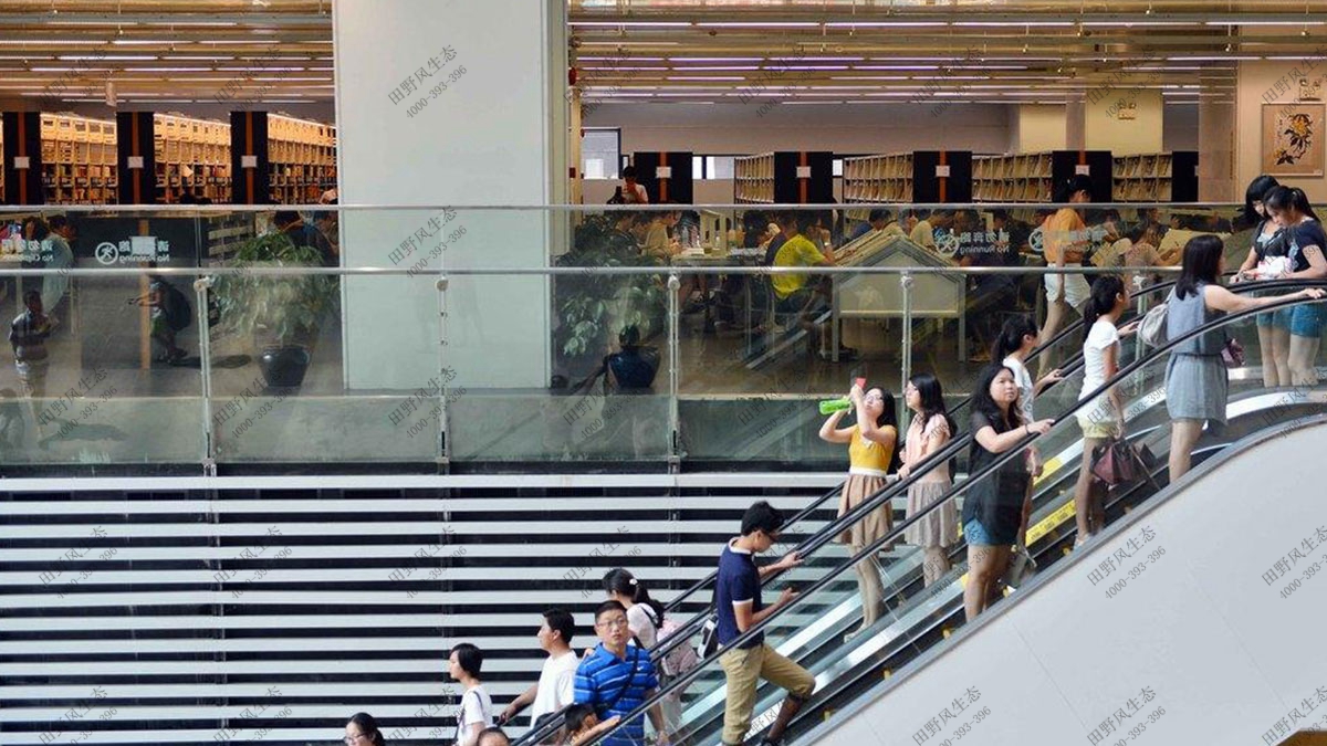 圖書館綠植花卉租擺,植物租擺 圖書館綠植花卉租擺,植物租擺