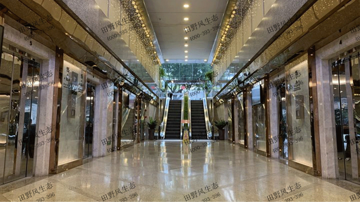 廣州國際銀行中心花木租賃案例 廣州國際銀行中心花木租賃案例