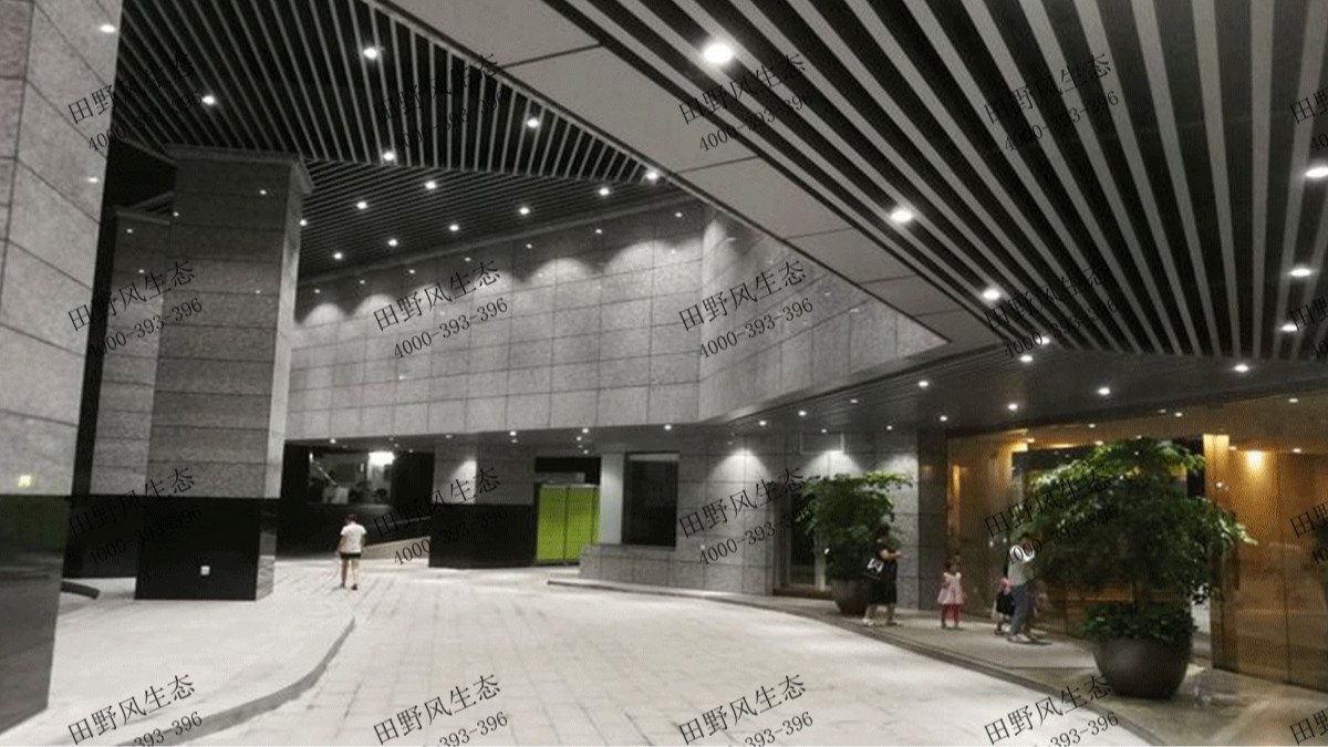 廣州國際銀行中心花木租賃案例 廣州國際銀行中心花木租賃案例