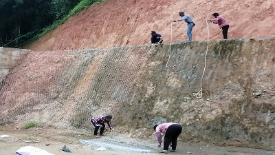 掛鍍鋅鐵絲網 掛鍍鋅鐵絲網