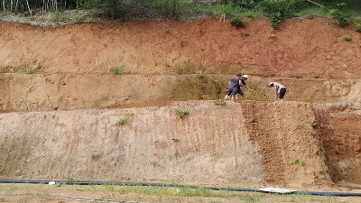 邊坡復綠施工 邊坡復綠施工