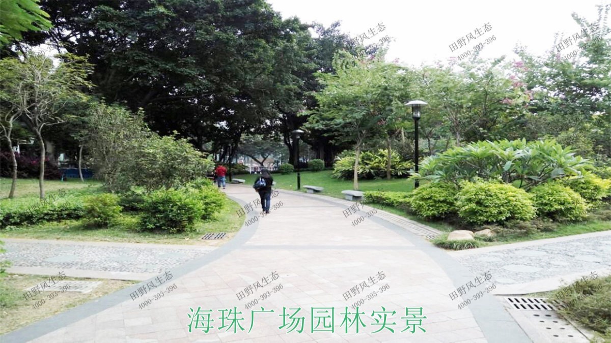 廣州海珠廣場園林綠化工程 廣州海珠廣場園林綠化工程