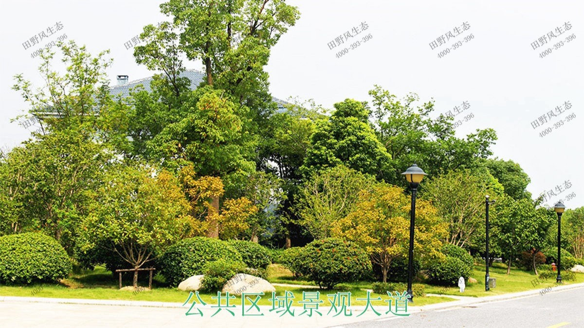 廣州海珠廣場園林綠化工程 廣州海珠廣場園林綠化工程