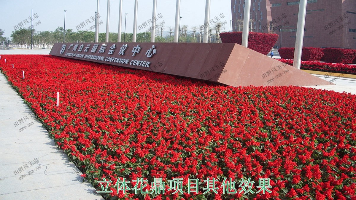 廣州白云國際會議中心立體綠化工程 廣州白云國際會議中心立體綠化工程