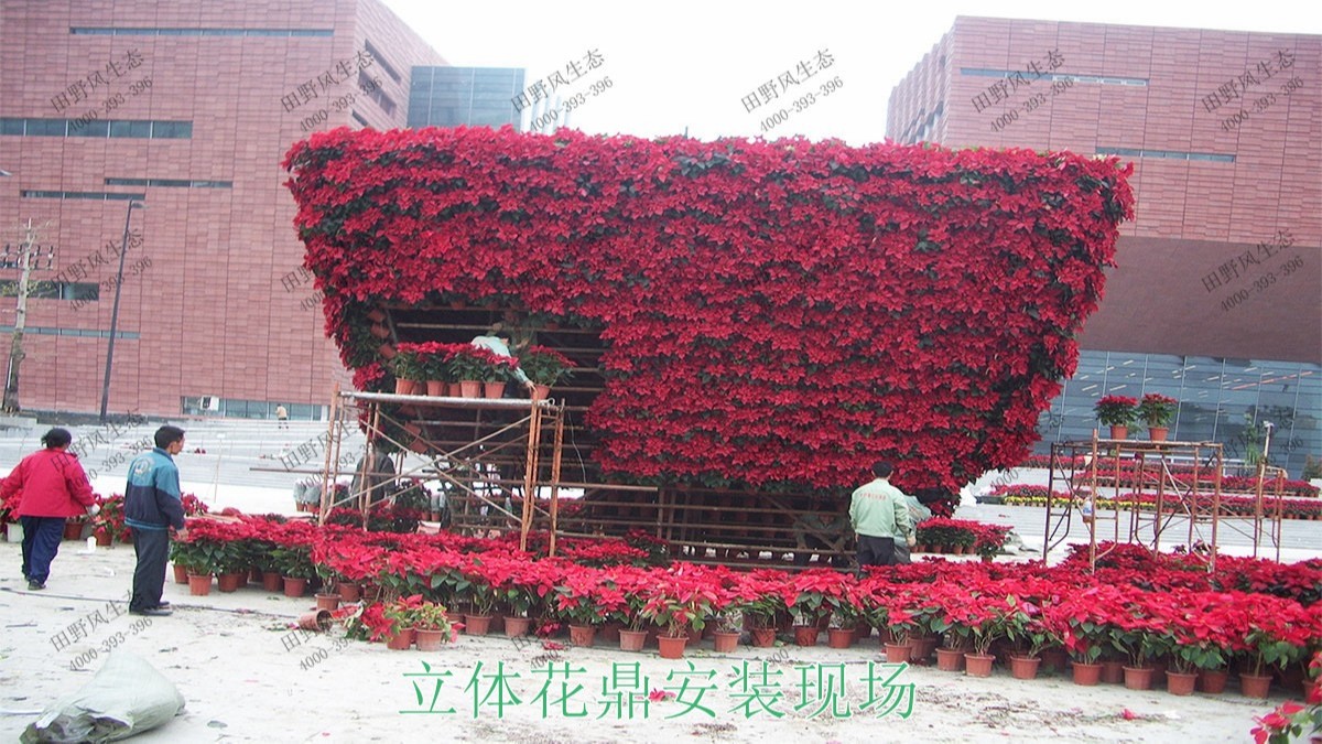 廣州白云國際會議中心立體綠化工程 廣州白云國際會議中心立體綠化工程