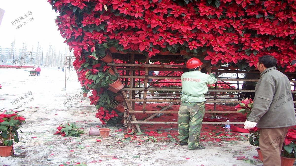 廣州白云國際會議中心立體綠化工程 廣州白云國際會議中心立體綠化工程