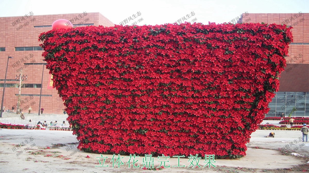 廣州白云國際會議中心立體綠化工程 廣州白云國際會議中心立體綠化工程