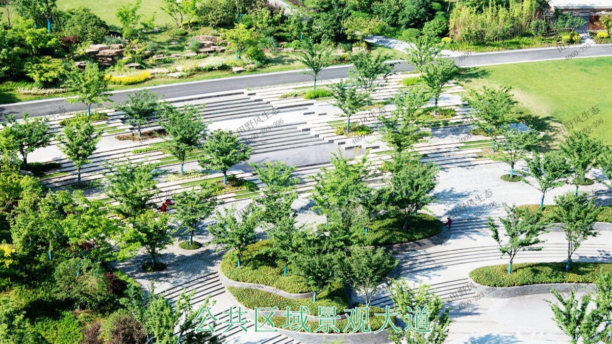 恒大地產(chǎn)園林景觀工程 恒大地產(chǎn)園林景觀工程