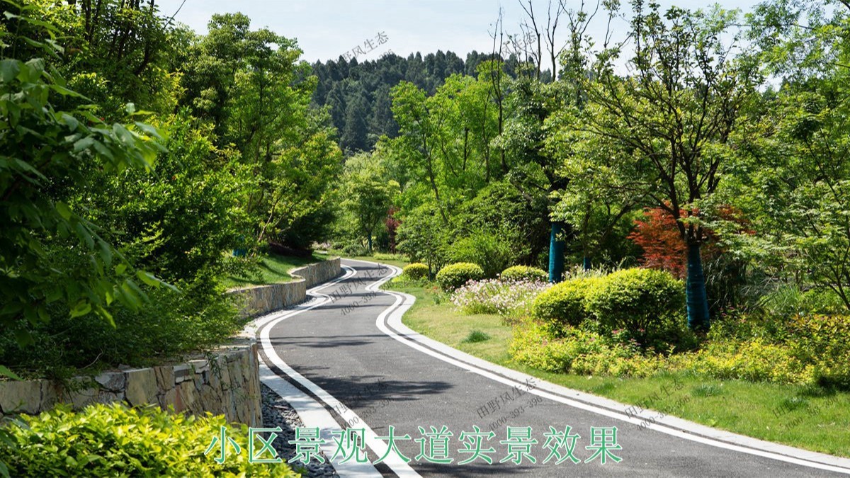 深圳合力花園園林景觀工程 深圳合力花園園林景觀工程