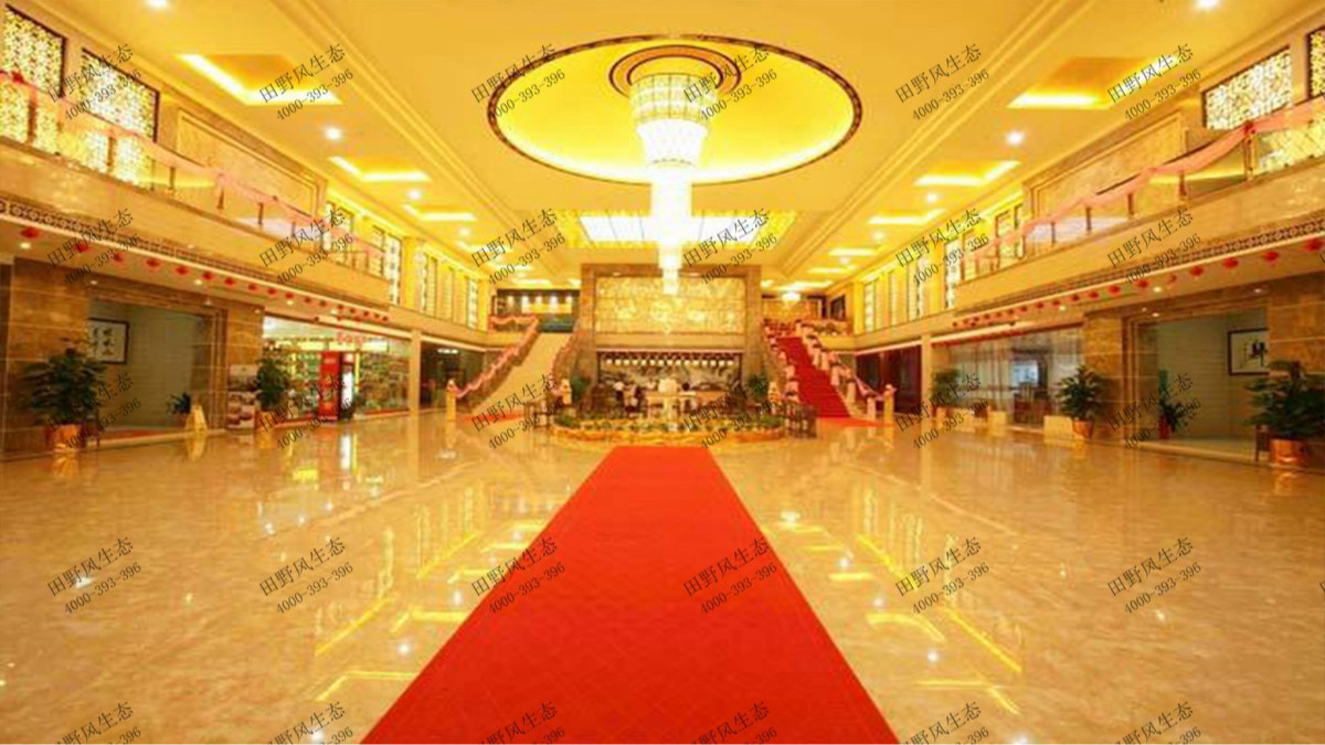 廣州維也納酒店植物花卉租擺案例 廣州維也納酒店植物花卉租擺案例