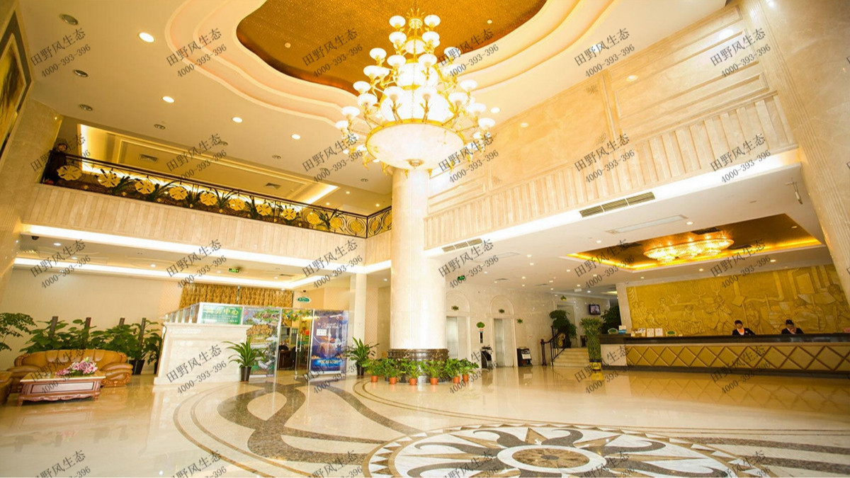 廣州維也納酒店植物花卉租擺案例 廣州維也納酒店植物花卉租擺案例