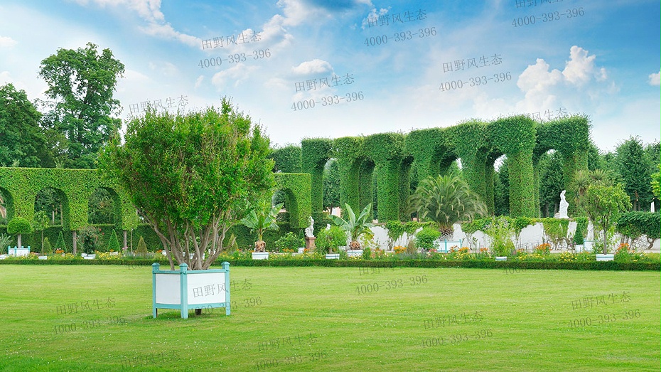 護坡草籽 護坡草籽