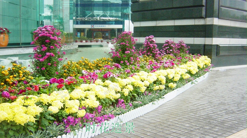 廣州日健管理有限公司年花訂購(gòu)服務(wù) 廣州日健管理有限公司年花訂購(gòu)服務(wù)