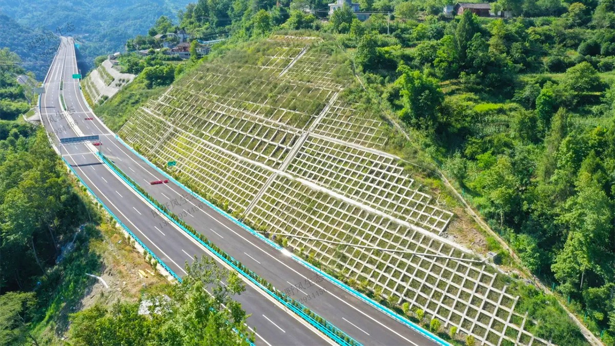 工程驗收復(fù)綠效果 工程驗收復(fù)綠效果