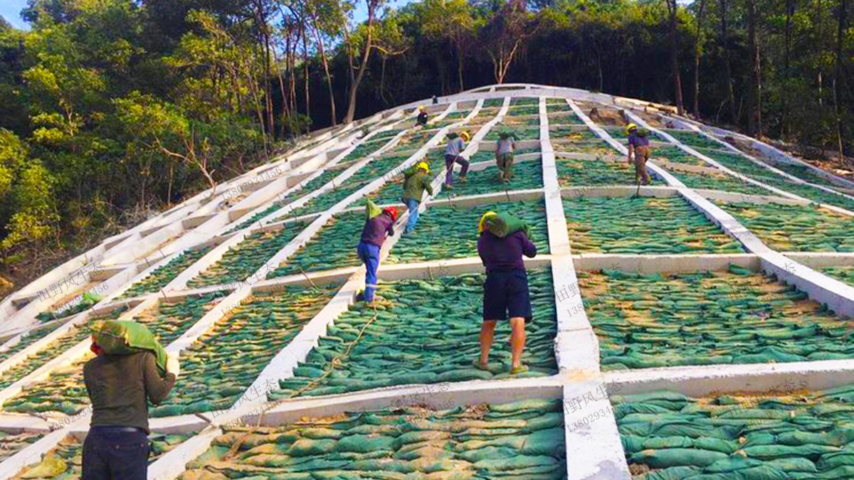 項目施工現(xiàn)場 項目施工現(xiàn)場