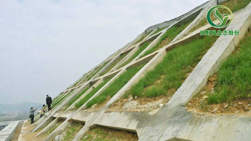邊坡綠化、生態(tài)防護(hù)