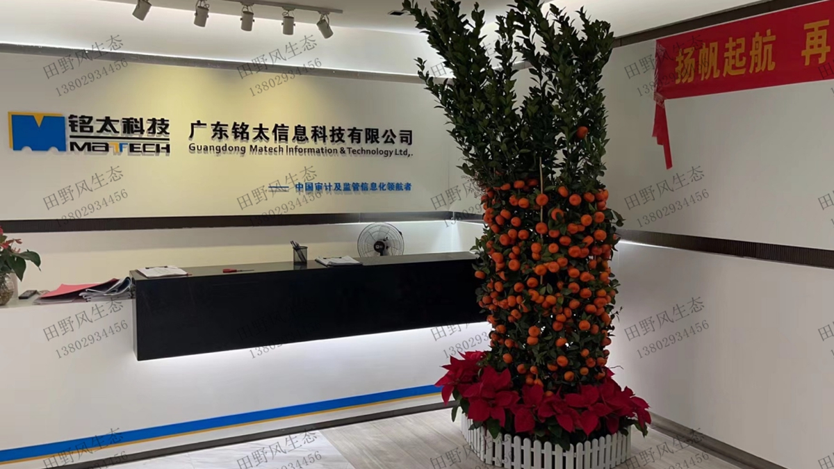 年花訂購(gòu)服務(wù) 年花訂購(gòu)服務(wù)