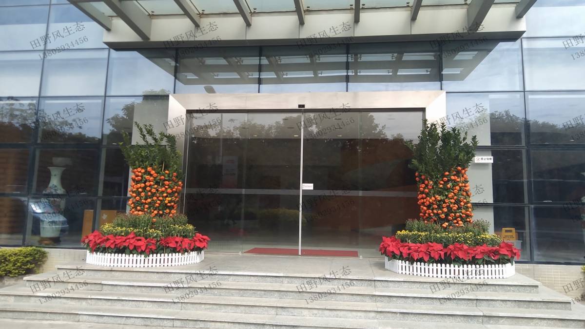 年花訂購(gòu)服務(wù) 年花訂購(gòu)服務(wù)