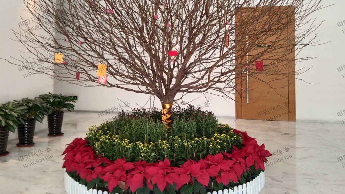 年花訂購(gòu)服務(wù) 年花訂購(gòu)服務(wù)