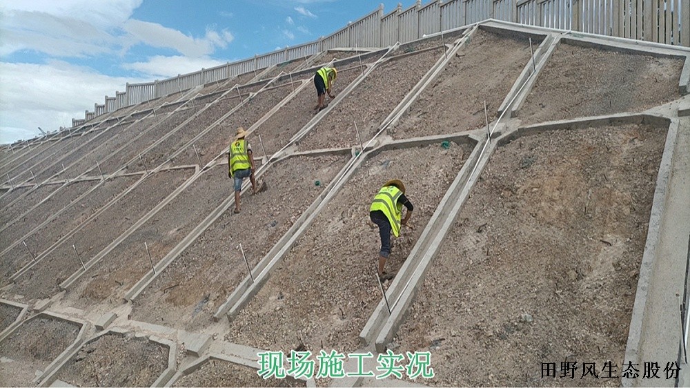 廣汕高鐵復(fù)綠工程 廣汕高鐵復(fù)綠工程