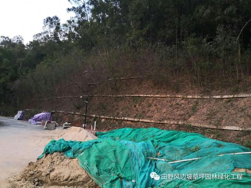 微信圖片_20200528161132 微信圖片_20200528161132