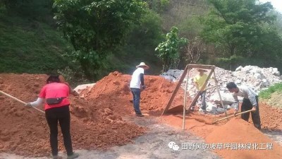 田野風(fēng)新邊坡綠化項(xiàng)目開(kāi)工