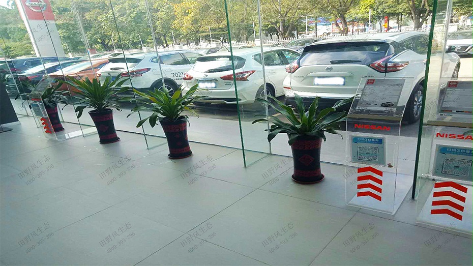 綠植租擺，綠植租賃