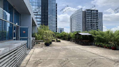 廣州番禺大廈植物租擺案例 廣州番禺大廈植物租擺案例