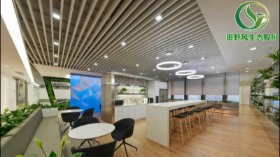 選擇綠色植物租賃有什么好處？