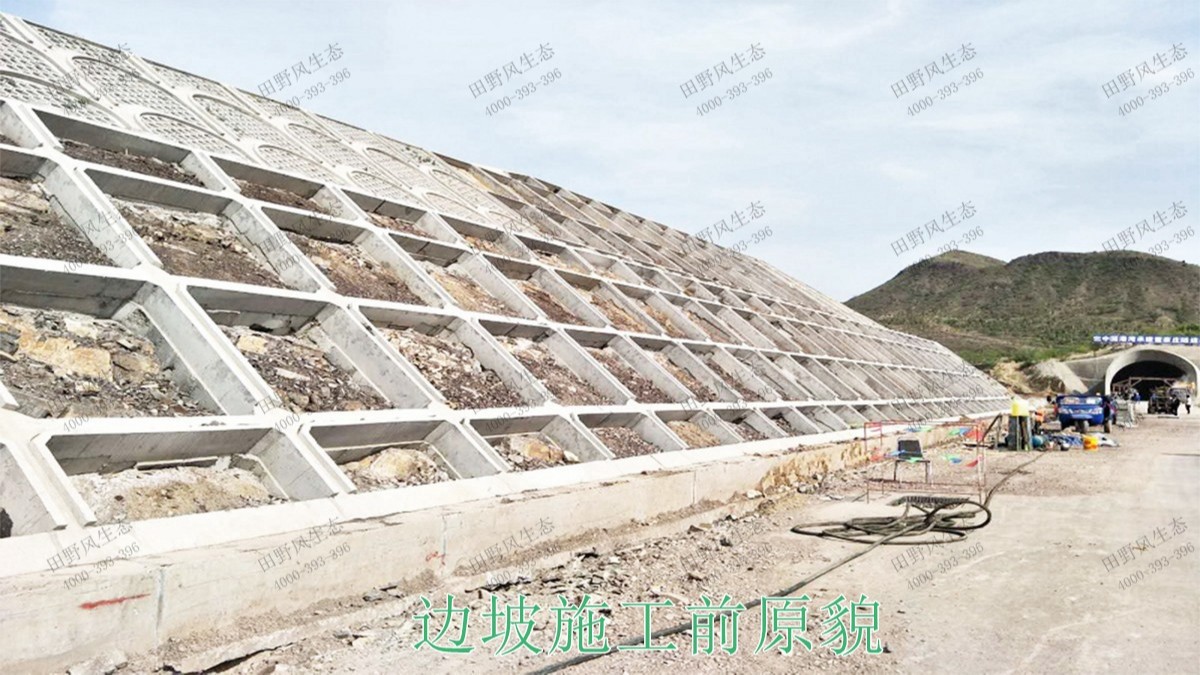 廣深港鐵路廣東段鐵路邊坡植草工程 廣深港鐵路廣東段鐵路邊坡植草工程