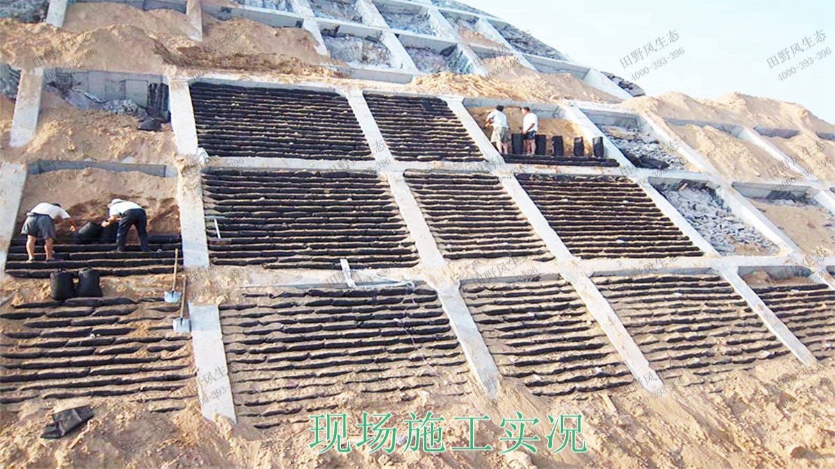 南廣鐵路廣東段鐵路邊坡掛網(wǎng)噴草工程 南廣鐵路廣東段鐵路邊坡掛網(wǎng)噴草工程