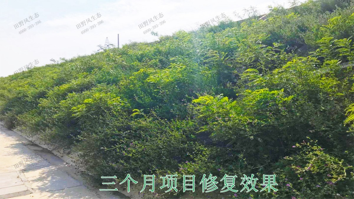 南廣鐵路廣東段鐵路邊坡掛網(wǎng)噴草工程 南廣鐵路廣東段鐵路邊坡掛網(wǎng)噴草工程