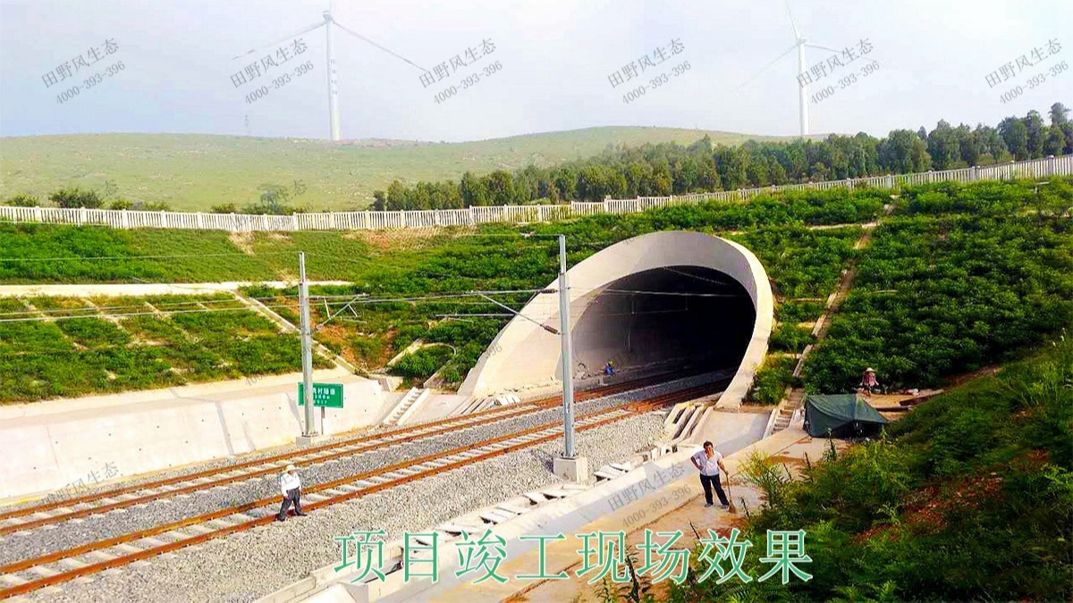 南昆高速鐵路廣西段鐵路邊坡綠化工程 南昆高速鐵路廣西段鐵路邊坡綠化工程