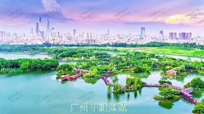 廣州中新知城公共綠化養(yǎng)護(hù)