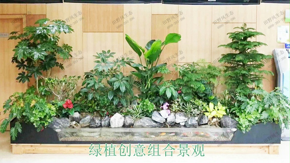 廣州中信廣場室內(nèi)植物租賃合作展示 廣州中信廣場室內(nèi)植物租賃合作展示