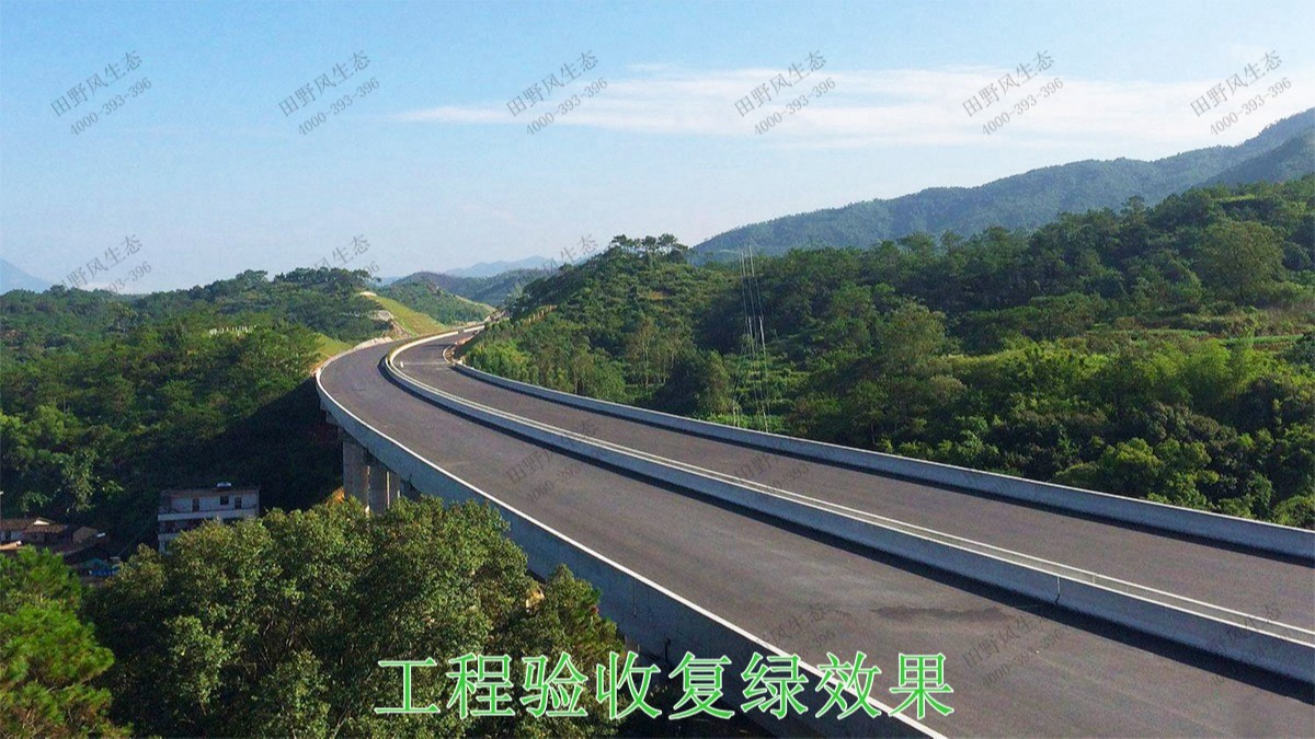 包茂高速茂名段高速公路邊坡復(fù)綠 包茂高速茂名段高速公路邊坡復(fù)綠