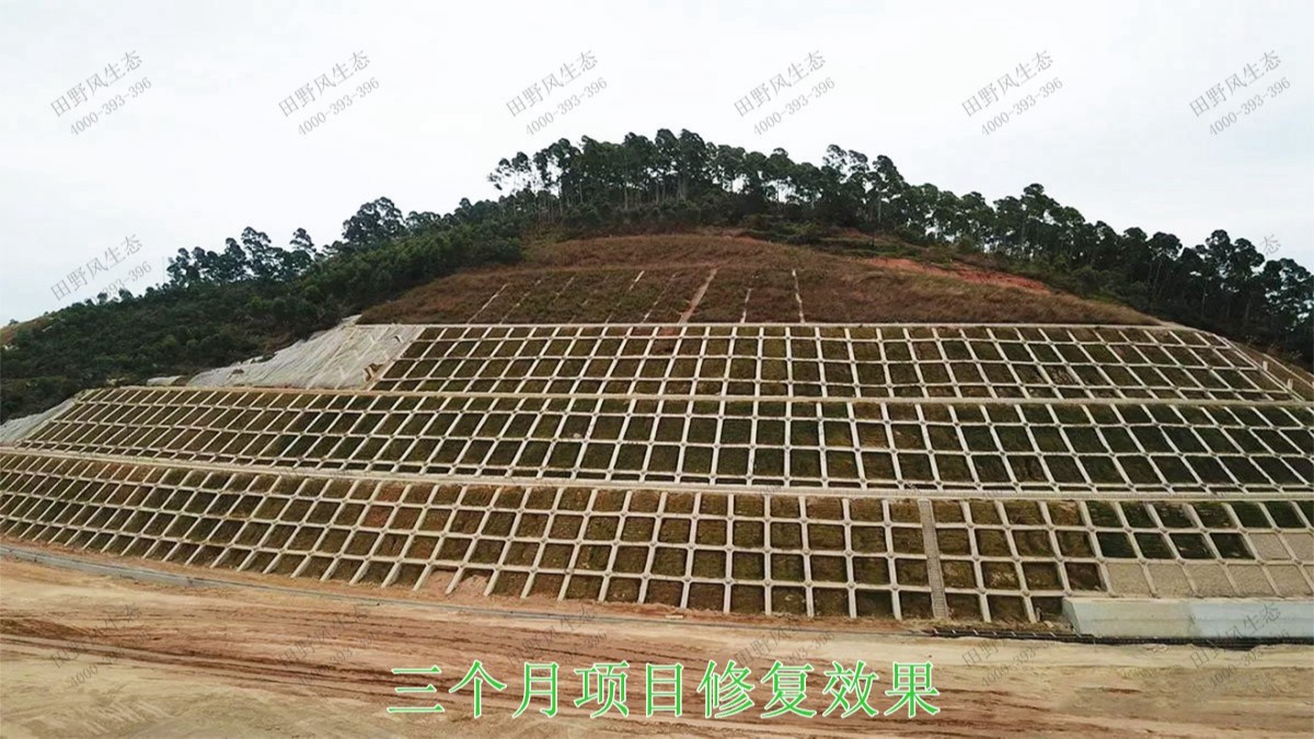 包茂高速茂名段高速公路邊坡復(fù)綠 包茂高速茂名段高速公路邊坡復(fù)綠