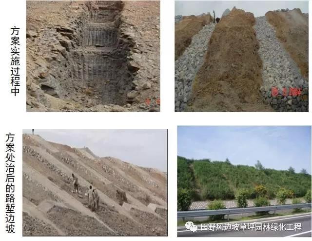 微信圖片_20200603082804 微信圖片_20200603082804