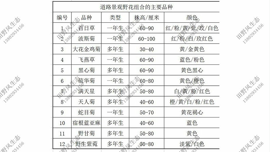花卉種子購(gòu)買(mǎi)