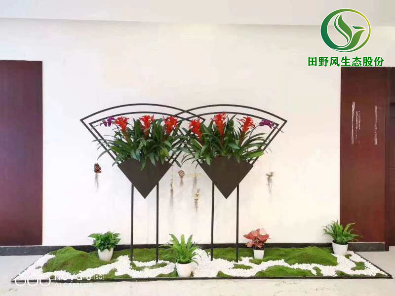 綠植租擺，植物租擺