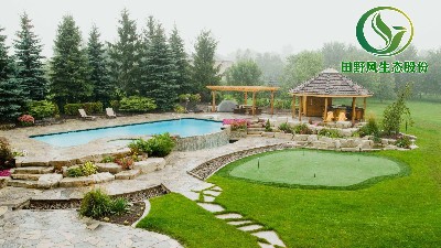 原來園林綠化養(yǎng)護(hù)管理是那么重要！