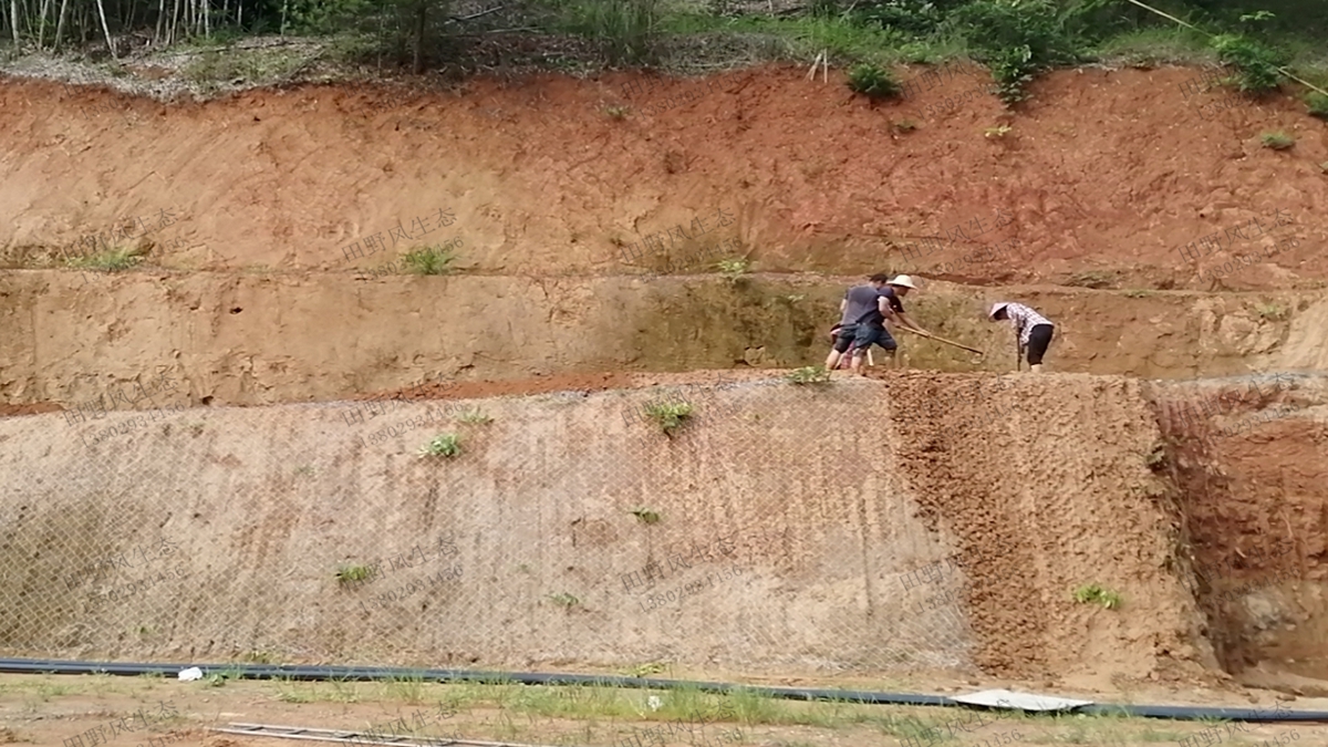 邊坡復綠施工現(xiàn)場