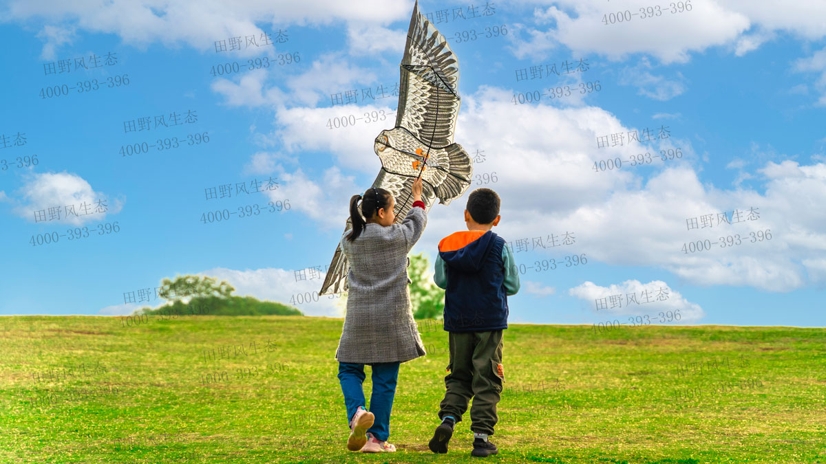 草坪種子 草坪種子