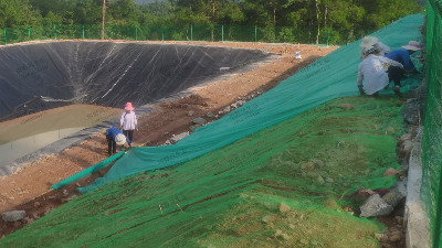 邊坡復(fù)綠蓋無紡布 邊坡復(fù)綠蓋無紡布