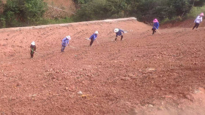 邊坡復(fù)綠施工現(xiàn)場 邊坡復(fù)綠施工現(xiàn)場