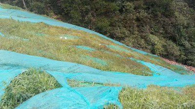 邊坡復(fù)綠效果 邊坡復(fù)綠效果