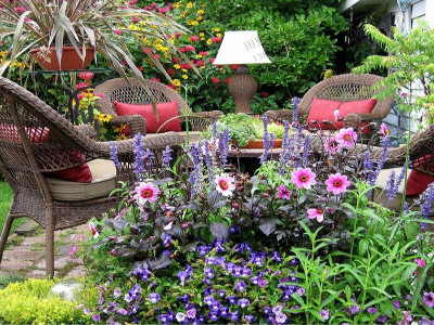 一年四季開花的花種子，你家院子種了嗎？