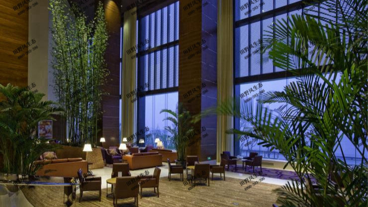 廣東迎賓館綠植花卉租賃案例 廣東迎賓館綠植花卉租賃案例