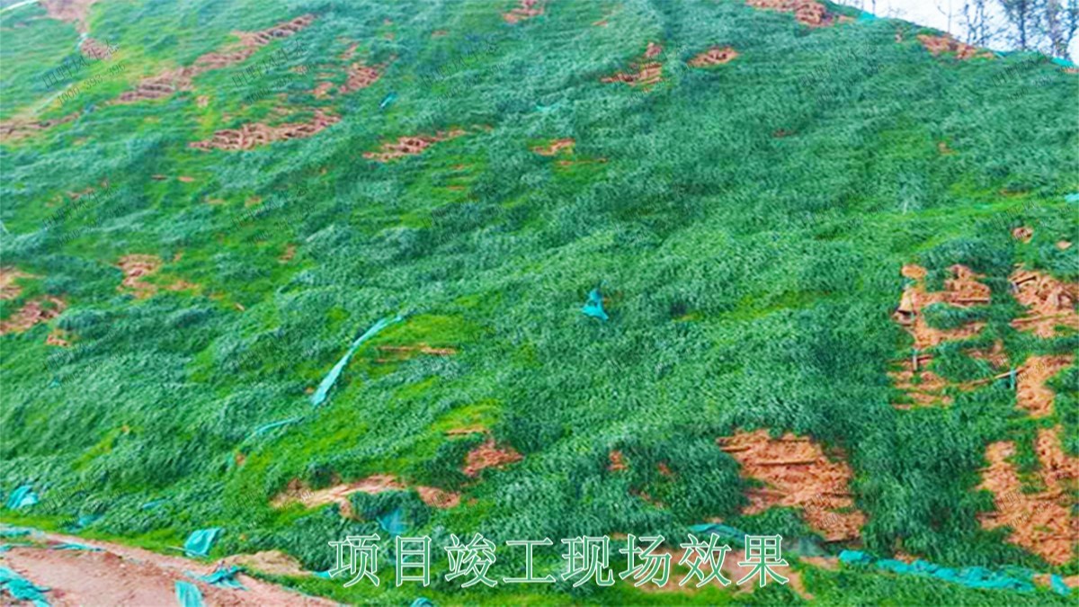 廣東省高州市山體滑坡邊坡復(fù)綠 廣東省高州市山體滑坡邊坡復(fù)綠